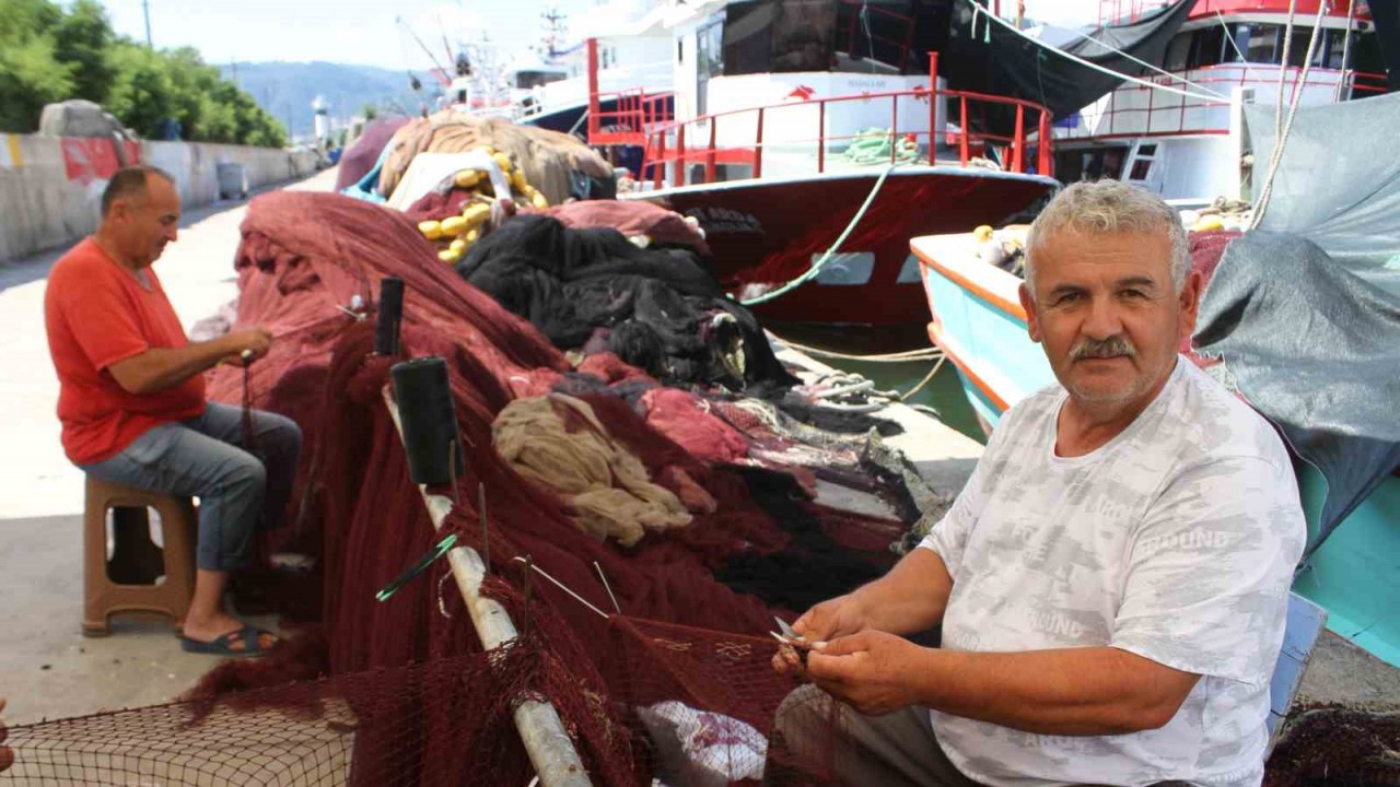 Karadenizli Bal K Lar Hamsiden Umutlu Bu Sezon Hamsi Y L Olacak