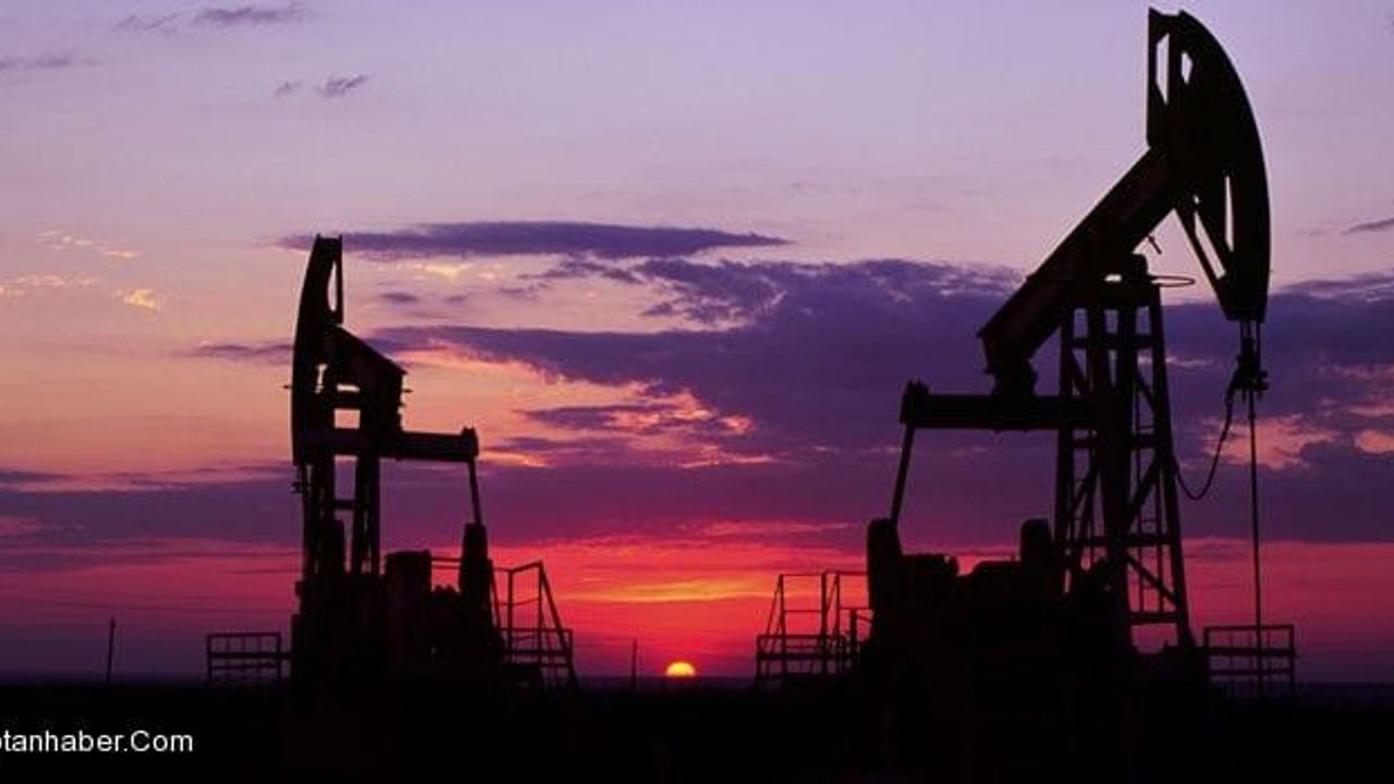 OPEC: "Petrol daha fazla düşmez"dedi 