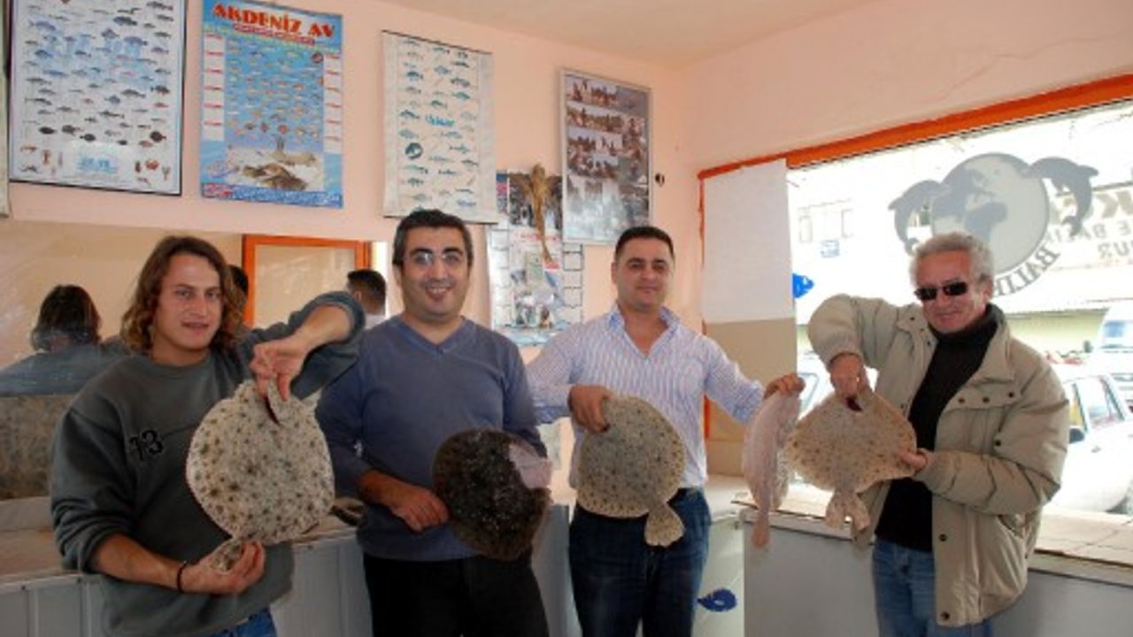 Akdeniz'de Üretilen Kalkan Balığı Satışta