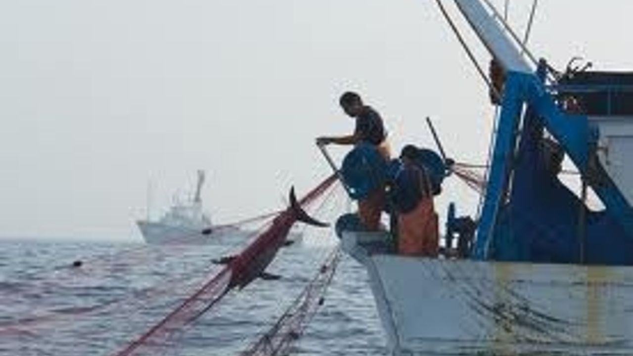 Balıkçı Gemileri Azaltılıyor
