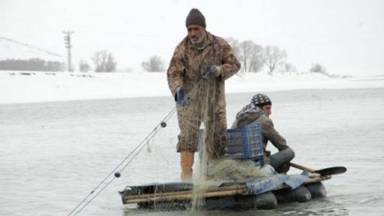 Muşlu Balıkçılar, Tirol Ağlarından Şikayetçi