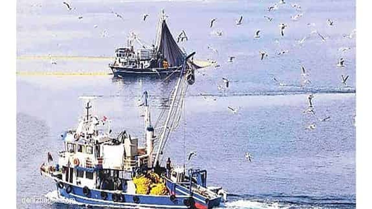 Marmaralı balıkçılar karides avına başladı