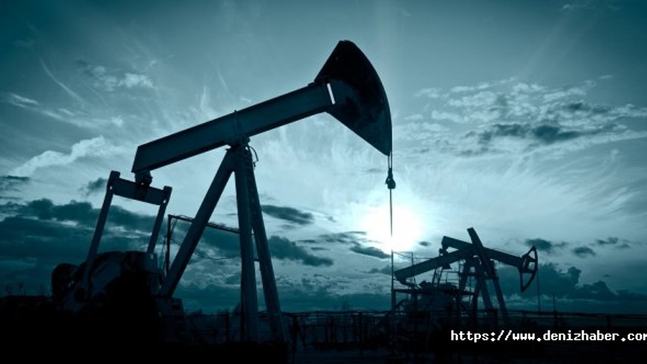 OPEC: Petrol talebinin yükselme potansiyeli var