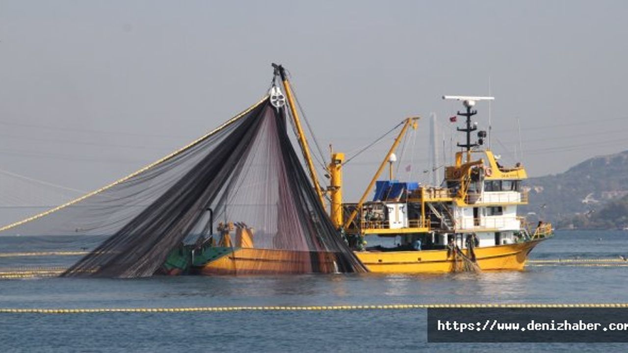 Balıkçılar ağlara yapışan "deniz salyası"ndan dertli