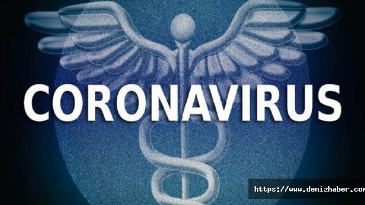 Korona virüs endişesi nedeniyle limanlarda ve Türk Boğazlarında sağlık kontrol önlemleri alındı