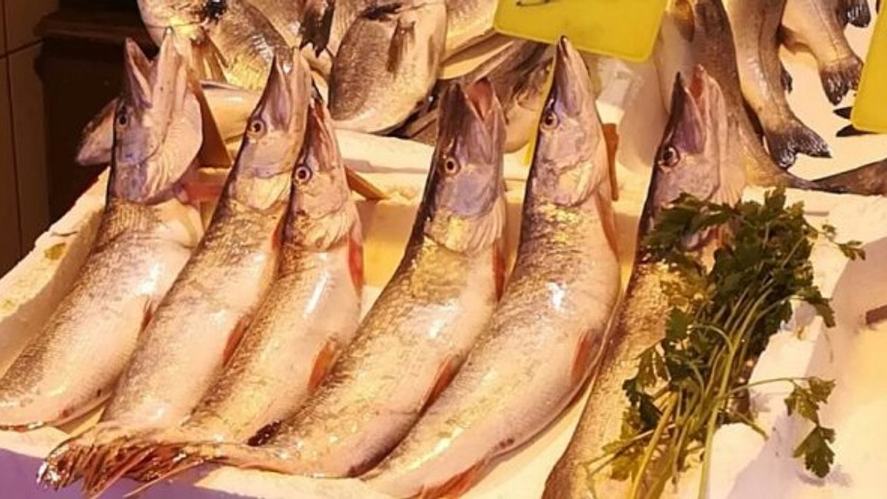 Üreme dönemindeki balıkların satışına 30 bin lira ceza