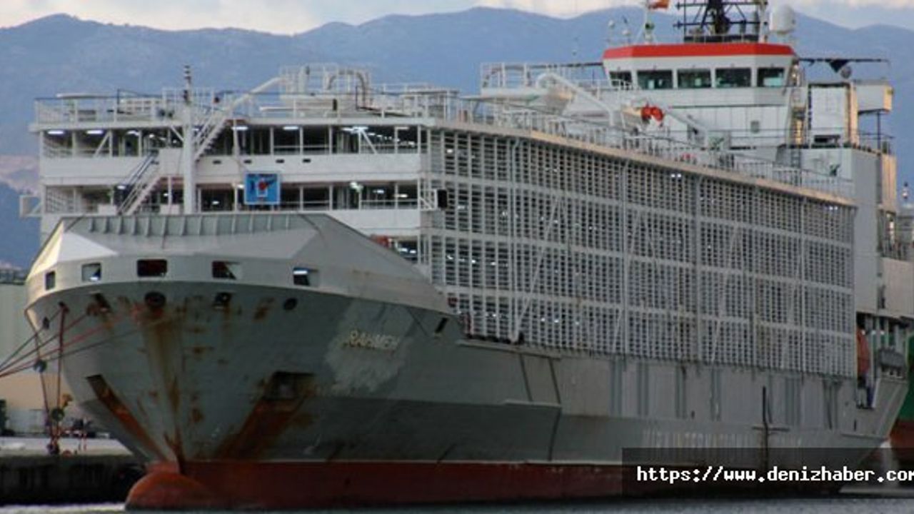 Japonya'da 43 mürettebatlı yük gemisi tayfunda kayboldu!