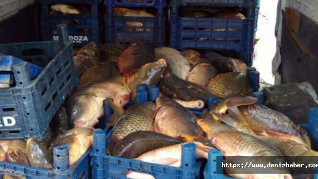 İzinsiz balık avlayanlara 17 bin 855 TL para cezası!