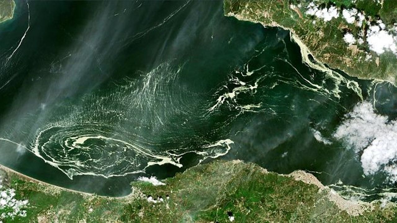 Marmara denizini saran deniz salyaları uydudan bile görüldü!