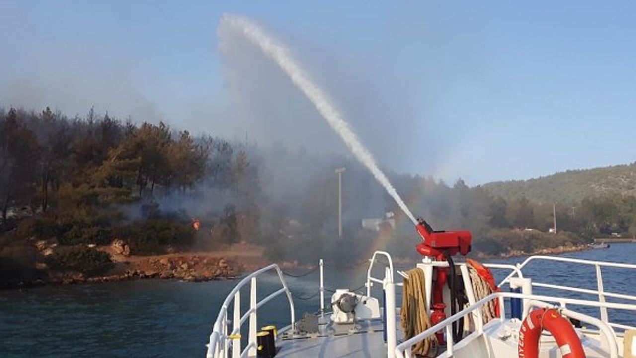 Orman yangınına römorkörlerle denizden müdahale! (Video)