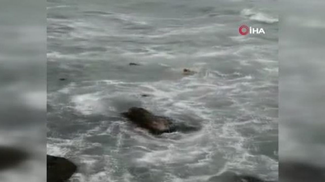 4 kişinin denize düştüğü korkunç olayın görüntüsü ortaya çıktı!