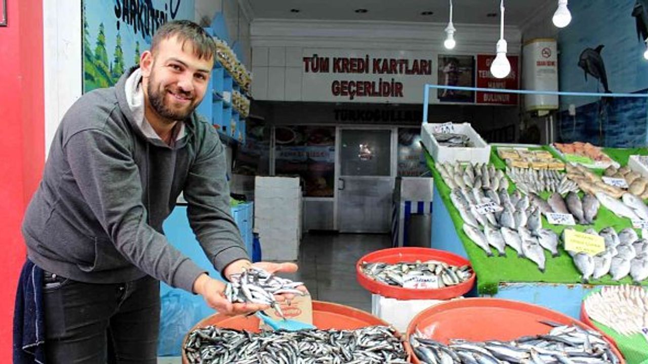 Karadeniz'deki balık bolluğu İç Anadolu fiyatlarına yansımadı!