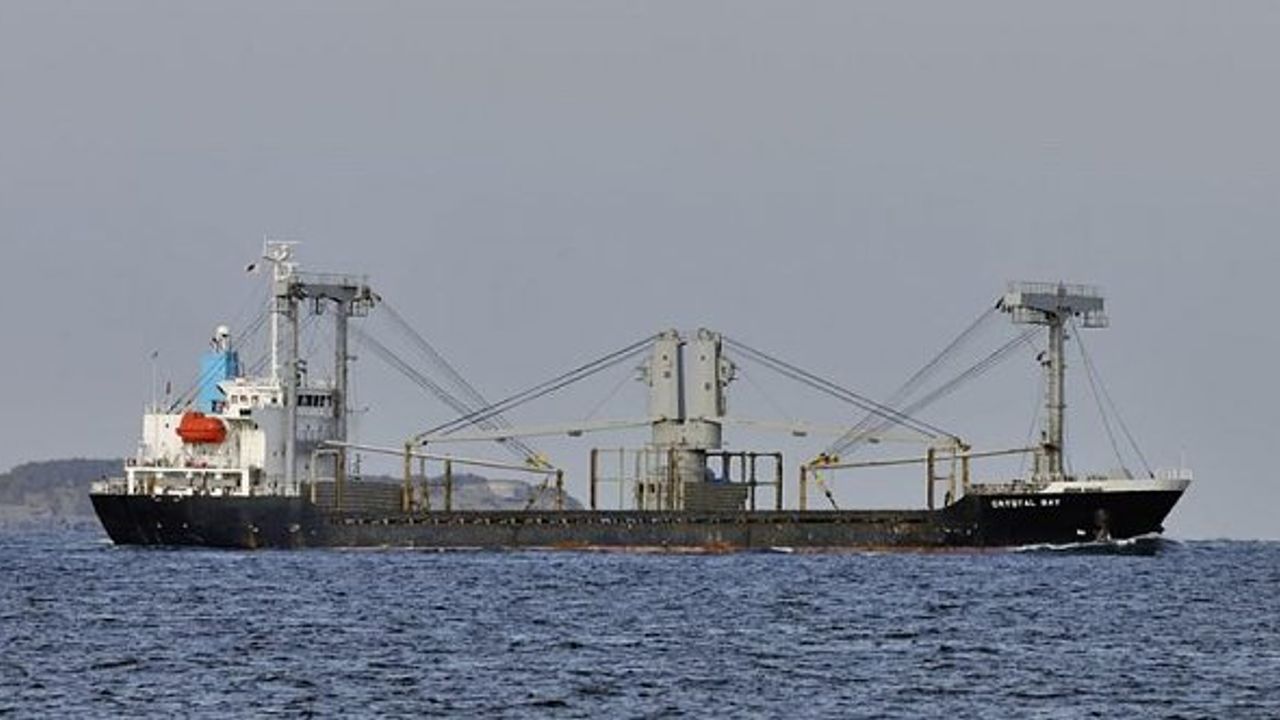 Panama bayraklı yük gemisi Japon Denizi'nde battı: 1 kayıp!