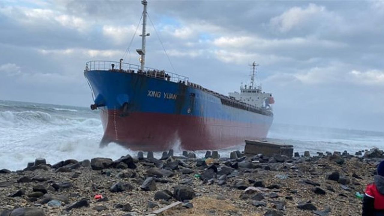 Çin sahipli yük gemisi Rusya'da karaya sürüklendi! (Video)