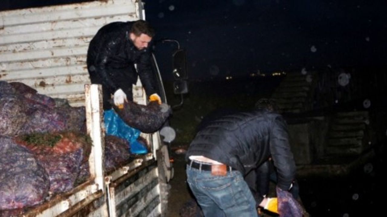 Yalova’da 8 ton kaçak avlanan midye denize bırakıldı