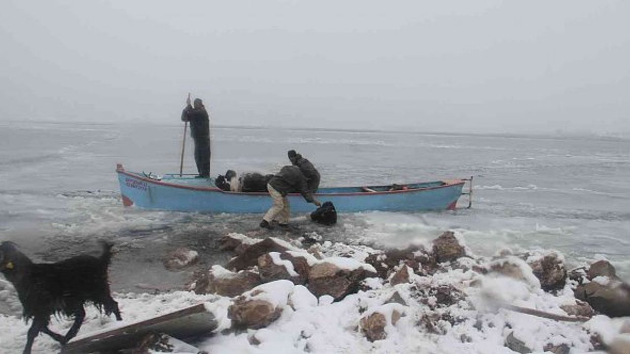 Adada mahsur kalan küçükbaş hayvanlar balıkçı tekneleriyle taşındı