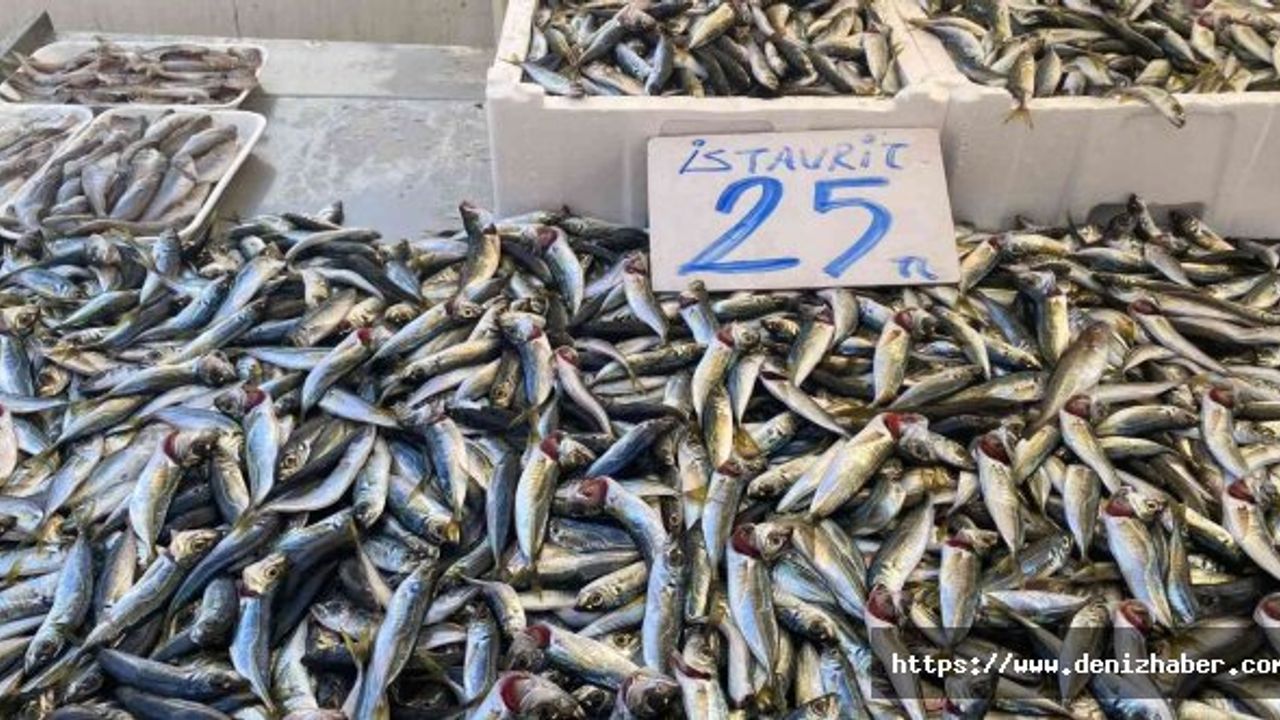 Karadenizli balıkçılar sezondan umduğunu bulamadı