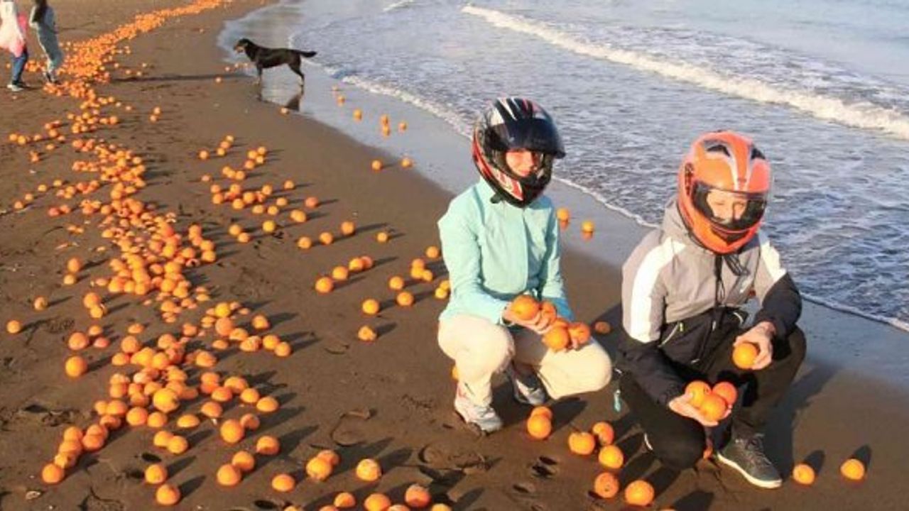 Mersin'de sahil portakal doldu