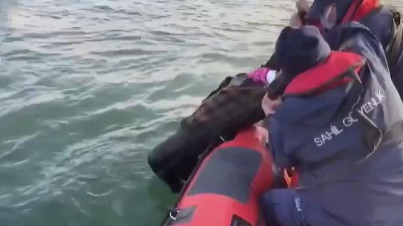 Sahil Güvenlik denize düşen yaşlı kadını kurtardı