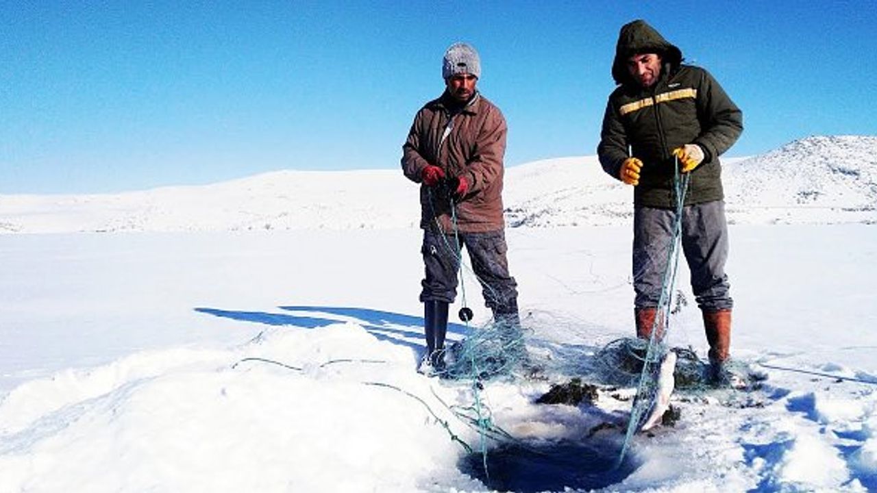 Yüzeyi donan Çıldır Gölü'nde Eskimo usulü balık avı