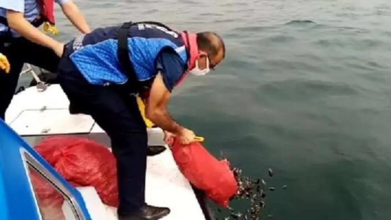 Sahil Güvenlik ekipleri, denize dalarak midye avcılığı yapanları suçüstü yakaladı