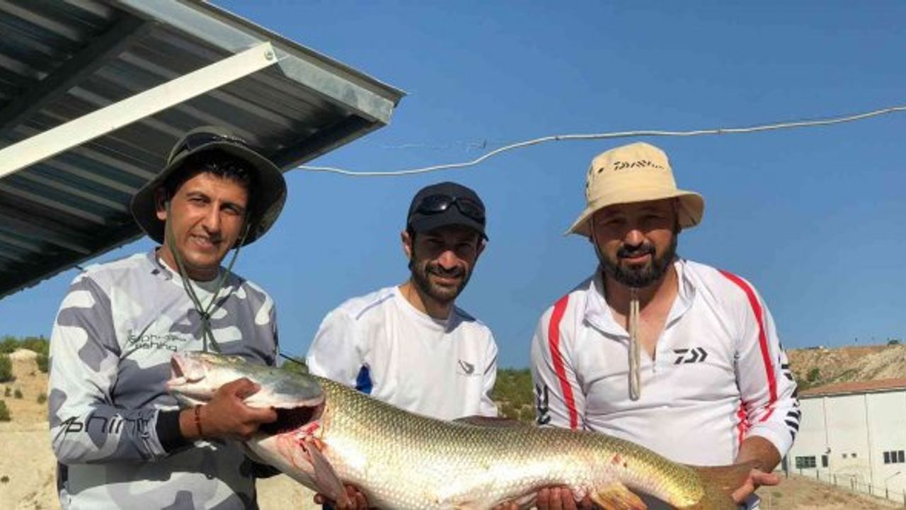 Oltayla 26 kiloluk dev turna balığı yakaladılar