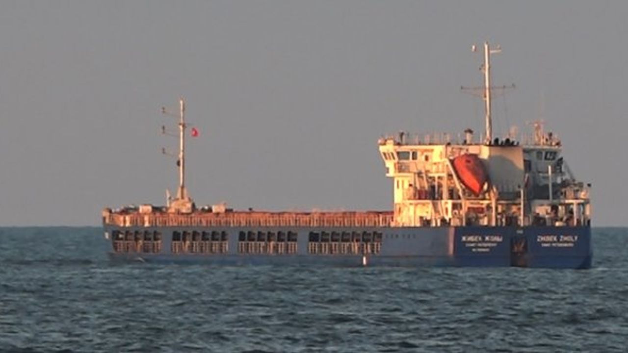 Ukrayna sahilinden hareket eden tahıl yüklü Rus gemisi Sakarya’da demir attı