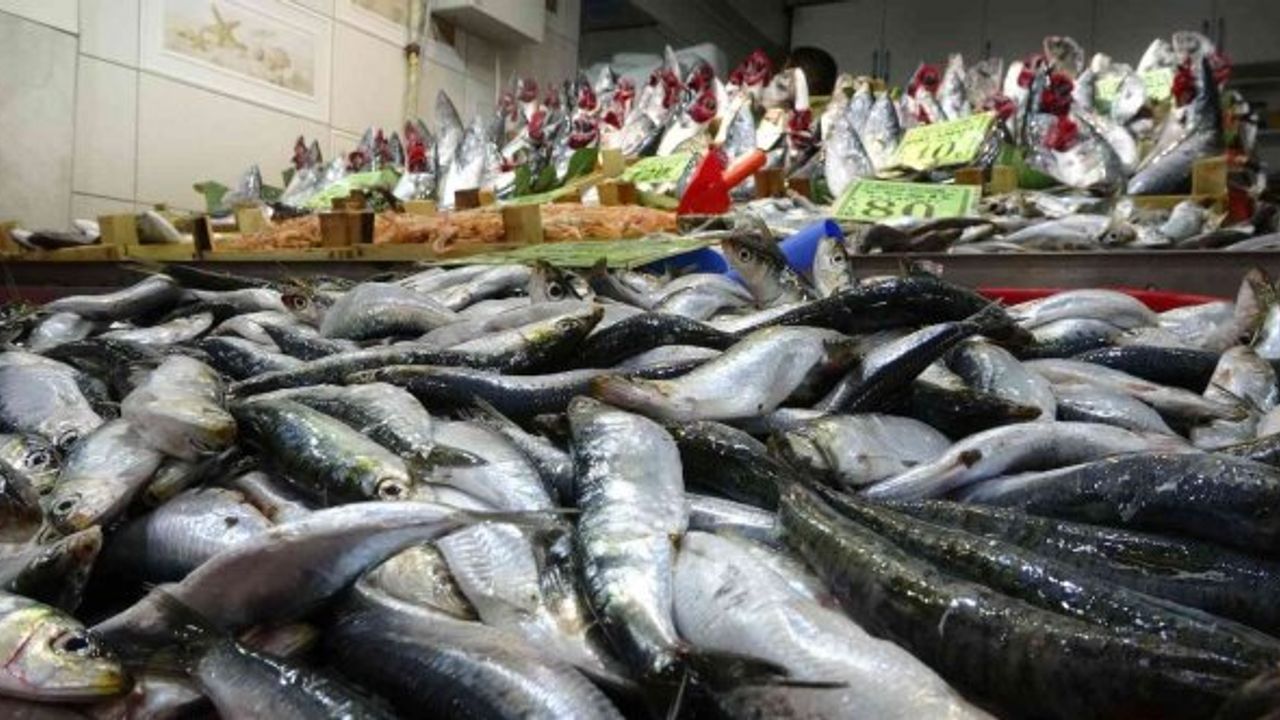 Balık fiyatları düştü, vatandaşların ilgisi arttı