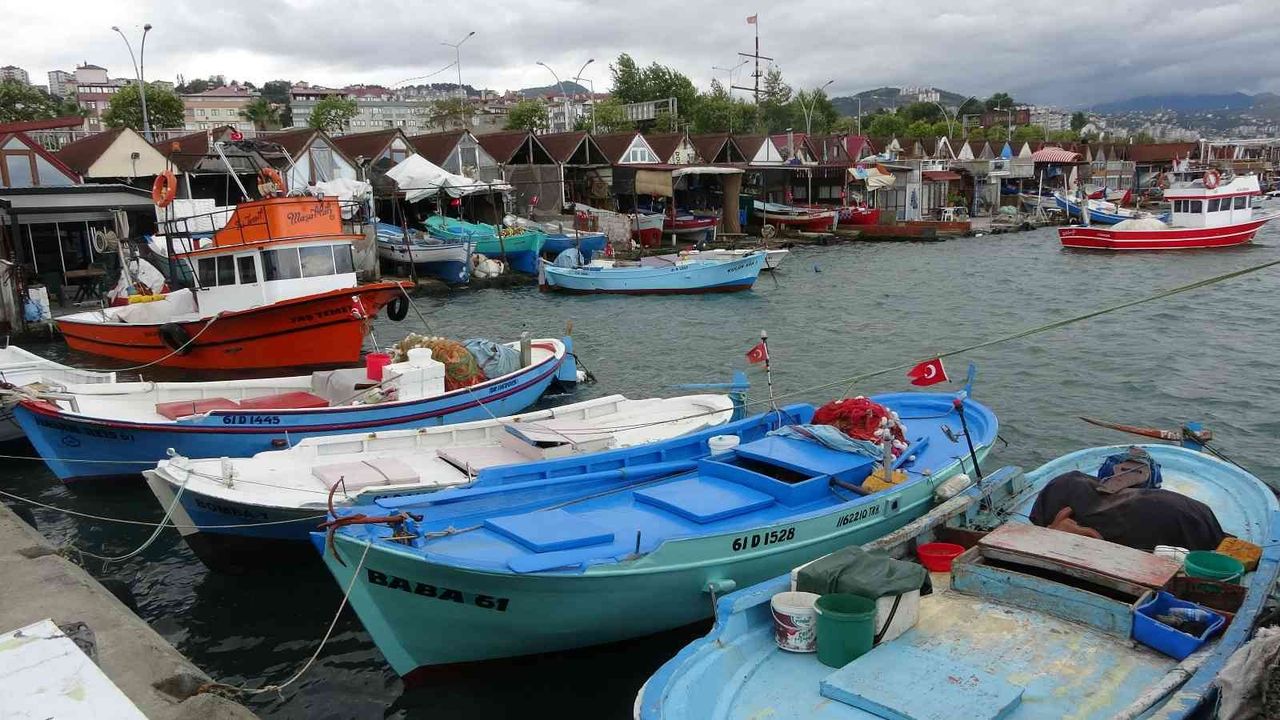 Kıyı balıkçıların umudu Batı Karadeniz taraflarından gelecek olan palamutta