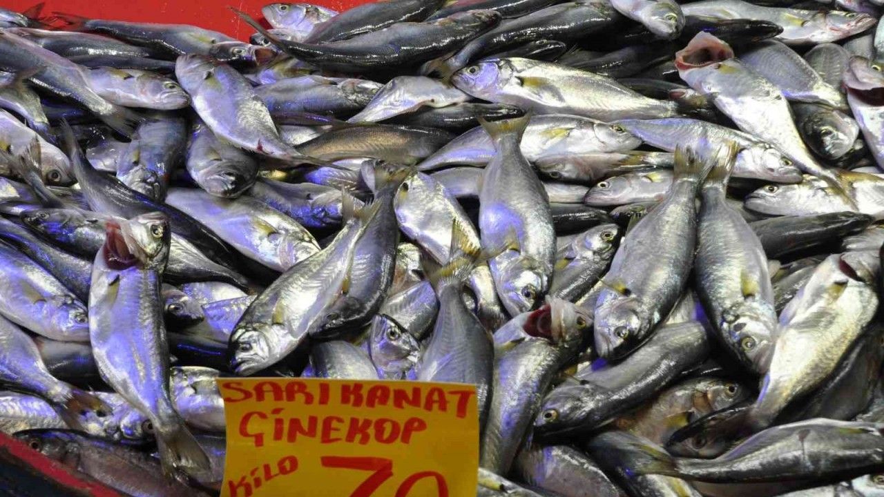 Mudurnu’da pazar tezgahlarında balık bolluğu