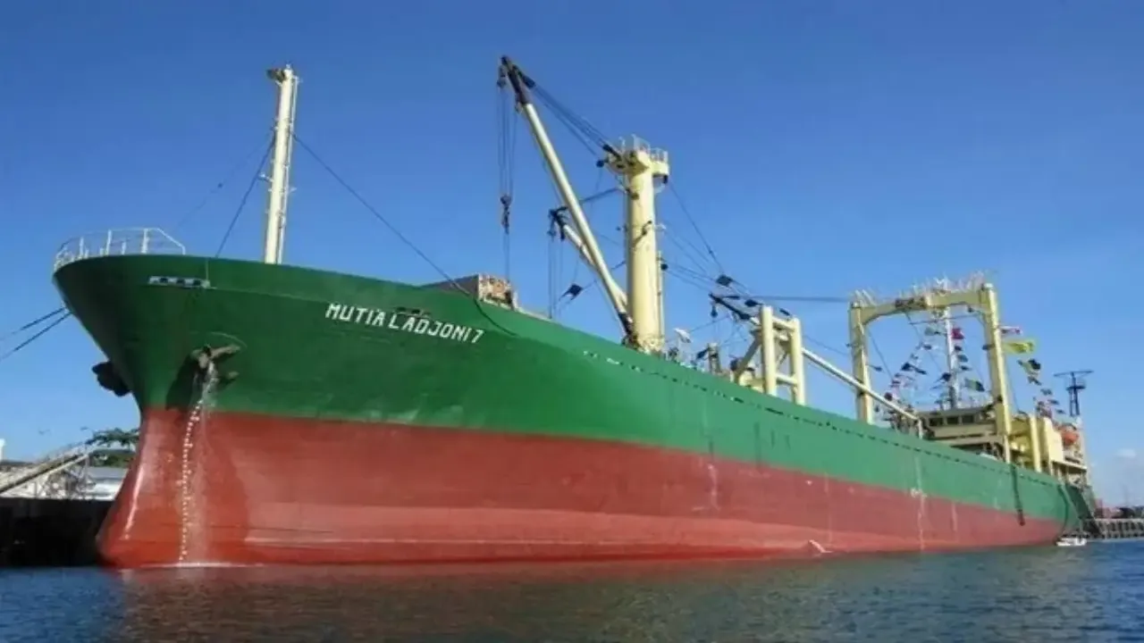 Endonezya Kargo Gemisi Yeni Gine Açıklarında Kayboldu