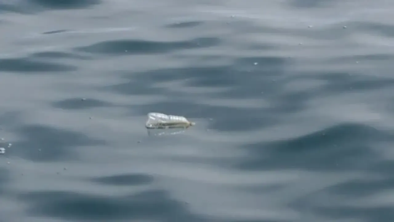 BİMCO'dan Kampanya: Gemilerde Tek Kullanımlık Plastikler Kaldırılsın