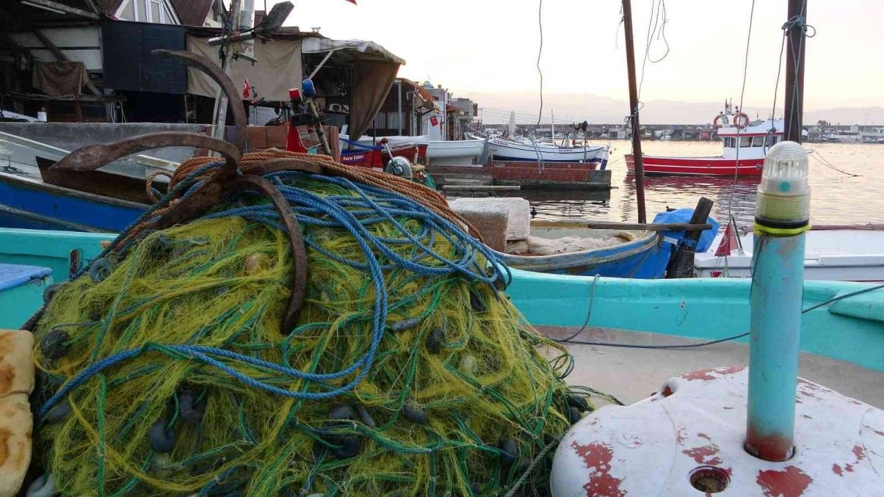 Karadeniz’de avlanan ince hamsi, diğer balık çeşitlerini tehdit ediyor