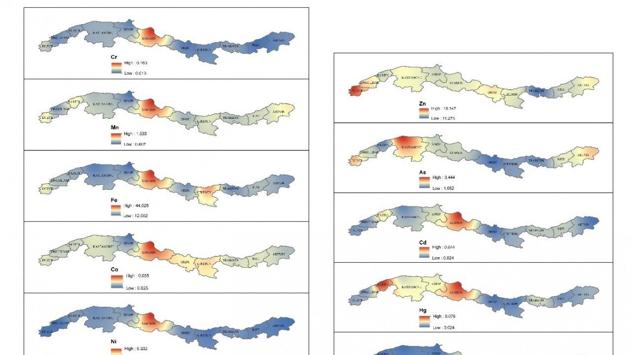 Karadeniz’de ilk defa ’Balık Ağır Metal Birikim Haritası’ hazırlandı