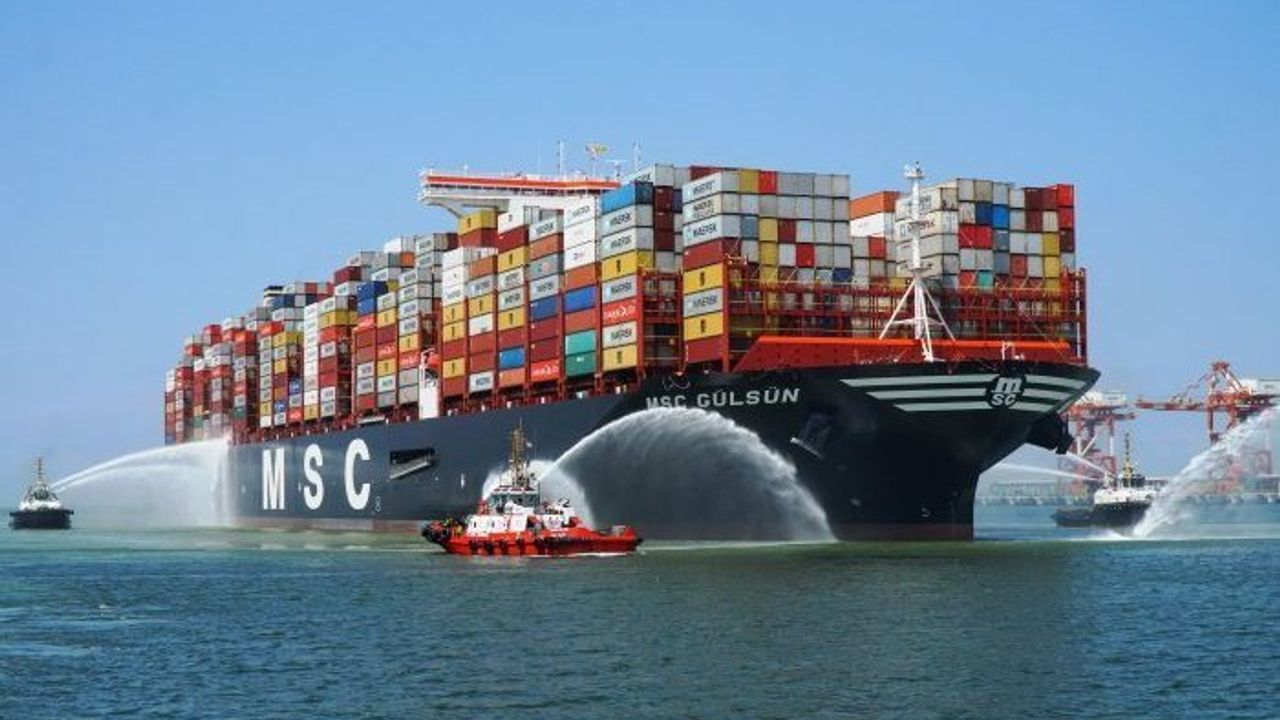 MSC'nin konteyner işi geçen yıl ne kadar kazandı?