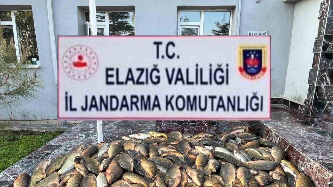 Elazığ’da kaçak balık avı yapan 3 şahsa, 49 bin lira ceza