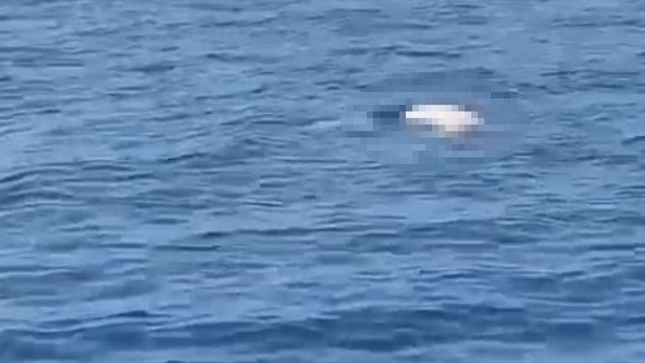 Antalya’da deniz üzerinde erkek cesedi bulundu