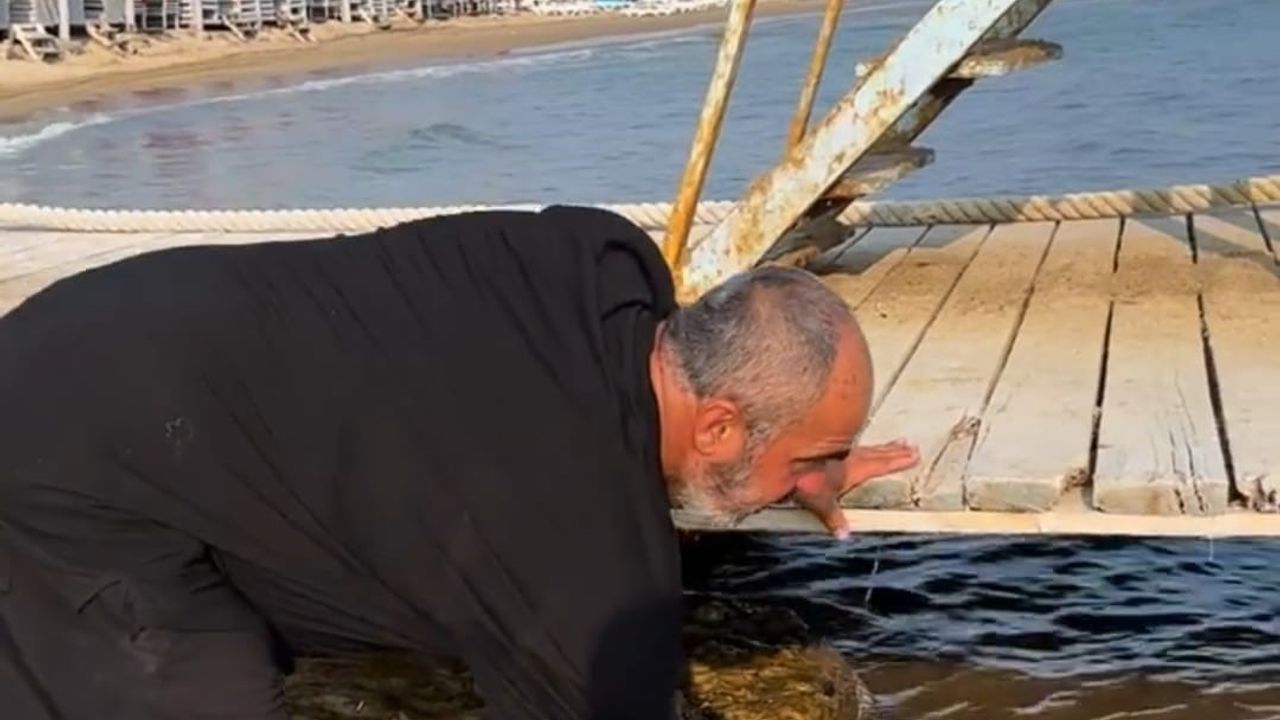 Karaya vuran caretta caretta tekrar denize salındı