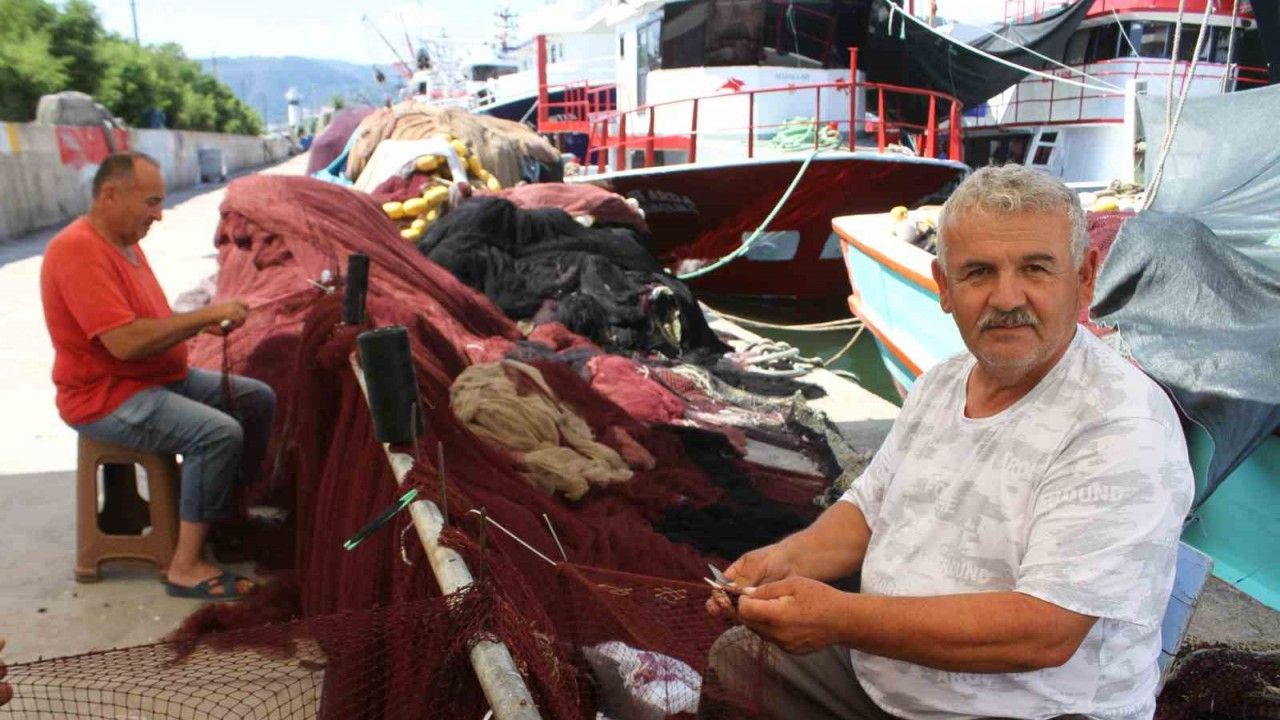 Karadenizli balıkçılar hamsiden umutlu: “Bu sezon hamsi yılı olacak”