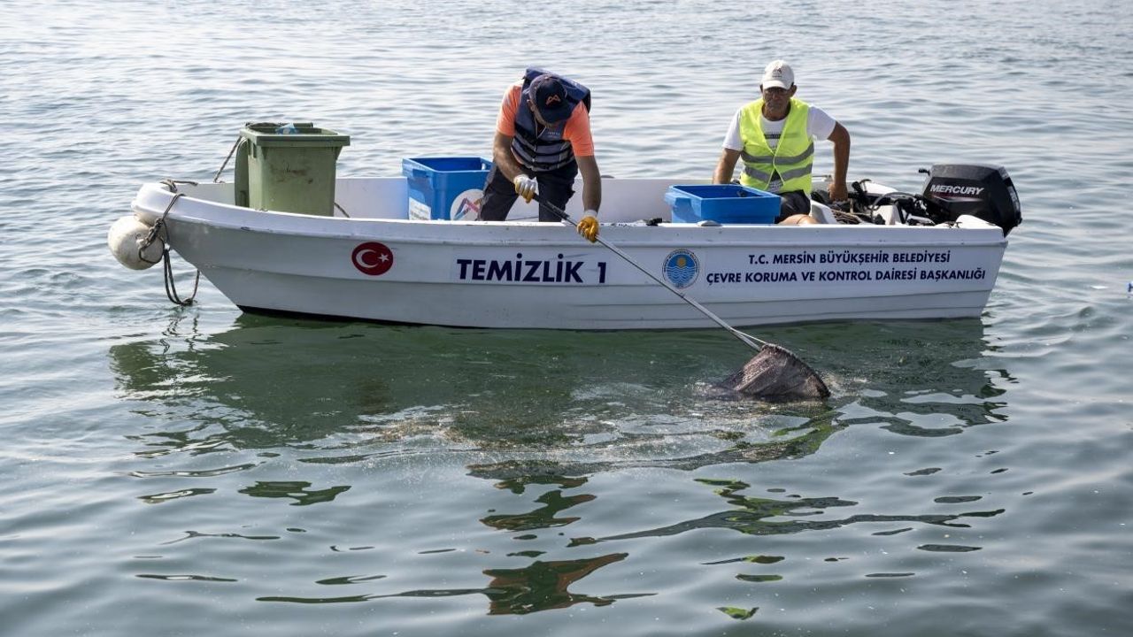 Akdeniz’de mikroplastik alarmı: Denizden çıkan 1 ton atığın 800 kilogramı plastik