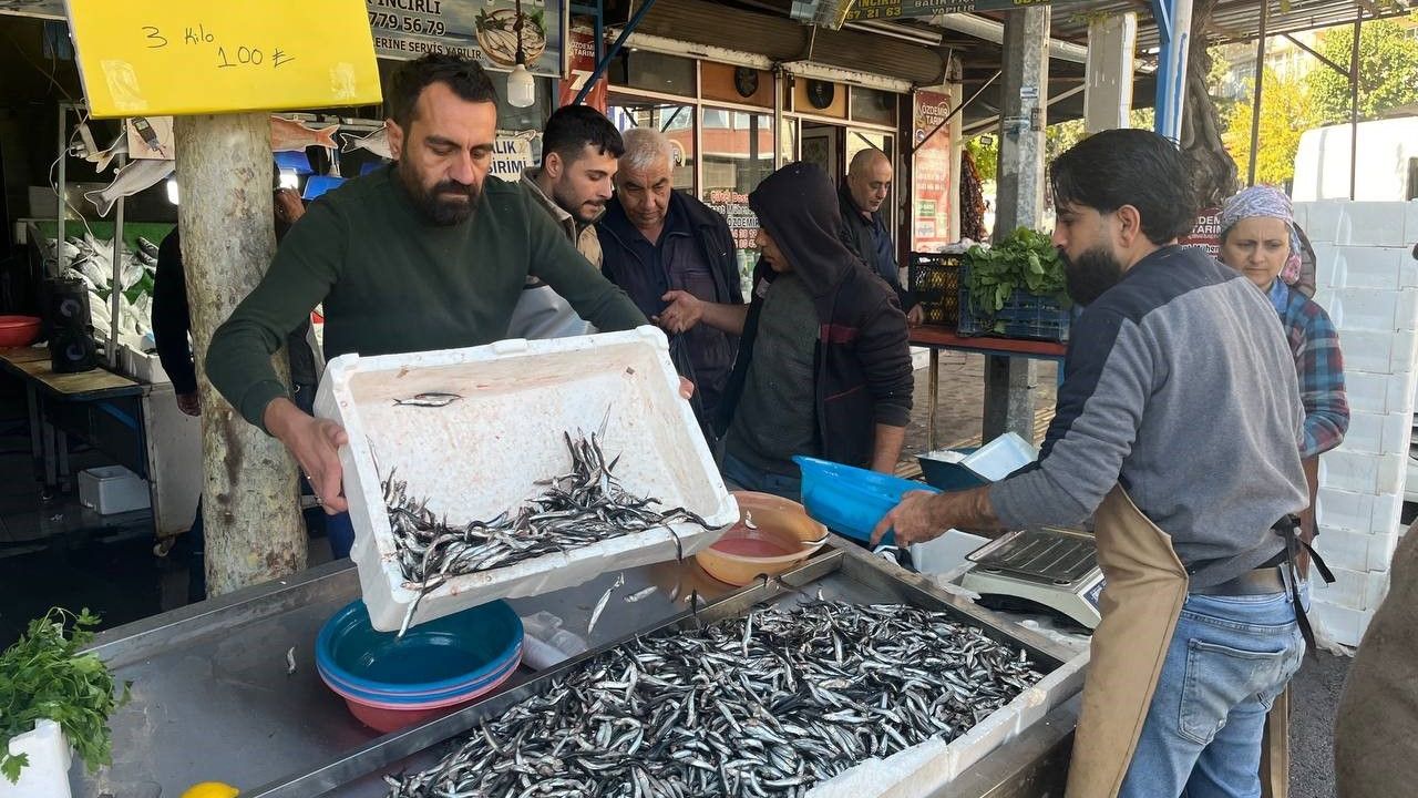 Kilis’te balık tezgahlarını Karadeniz hamsisi süslüyor