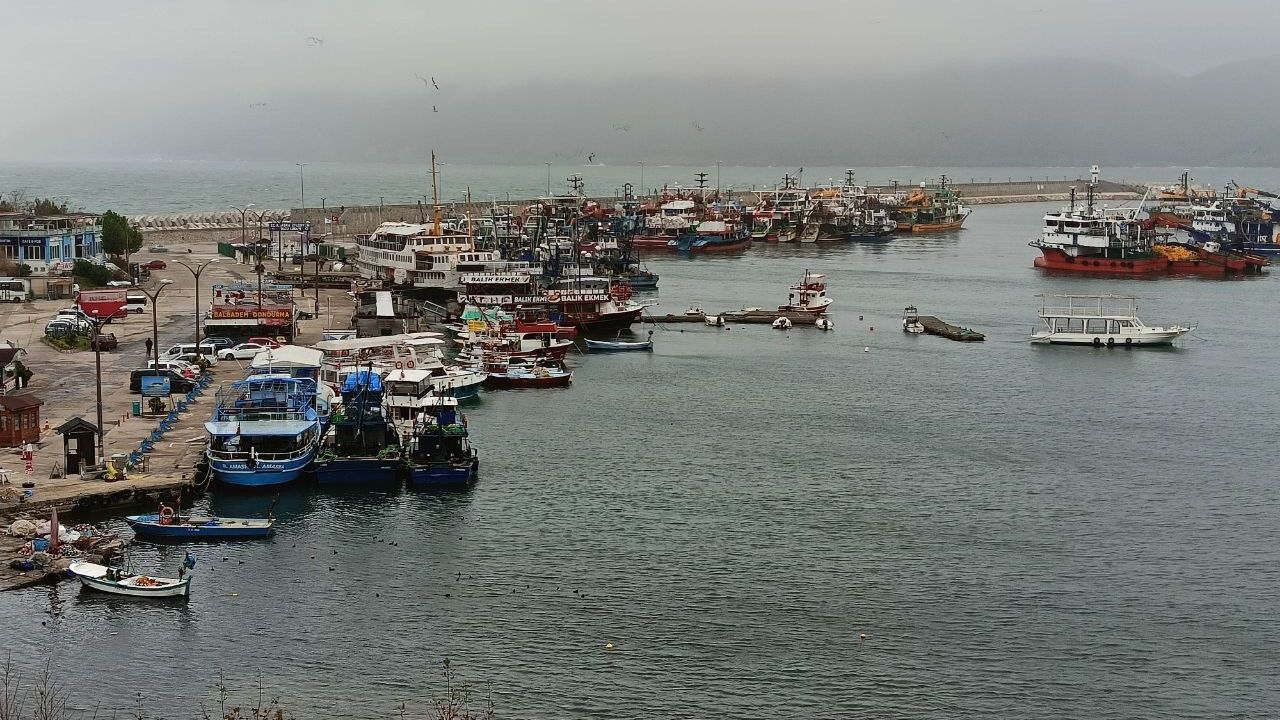 Şiddetli poyraz nedeniyle balıkçı tekneleri Amasra Limanı’na sığındı
