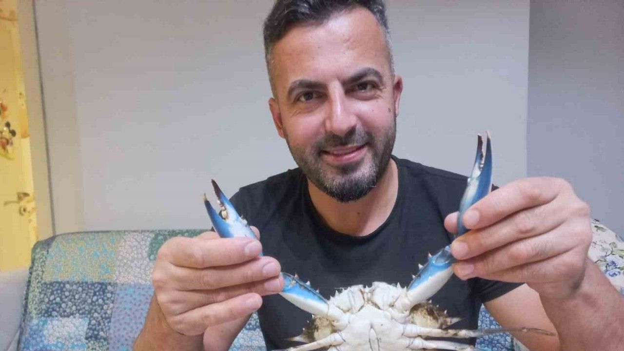 Sinop’ta amatör balıkçının ağına nadir görülen mavi yengeç takıldı