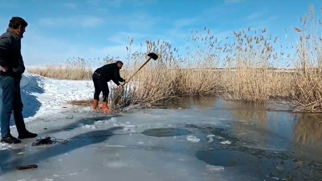Yüzeyi donmuş nehirde buzu kırıp balık avlıyorlar