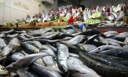 Balık fiyatları düştü, vatandaşların ilgisi arttı