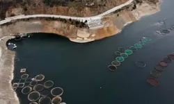 Kültür balıkçılığı tesislerinde düzenleme yapıldı