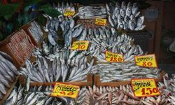 Hava sıcaklıları balık fiyatlarını etkiledi