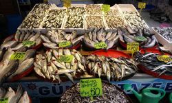 Balık avında Karadeniz’i bekleyen tehlike