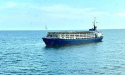 Dev canlı hayvan gemisi ALFA LIVESTOCK, Türkeli açıklarında arızalandı
