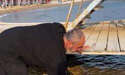 Karaya vuran caretta caretta tekrar denize salındı